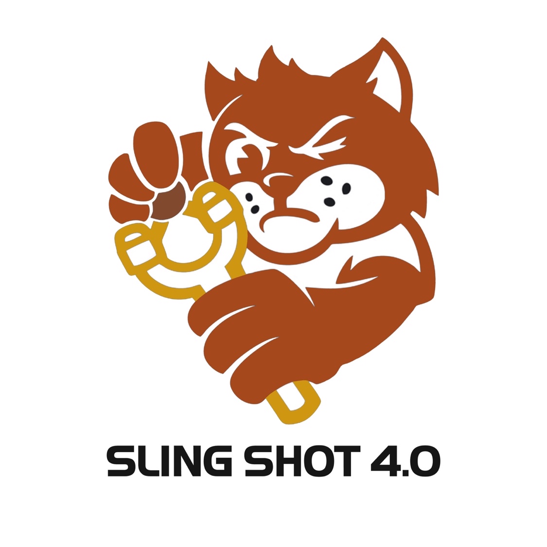 Shop SlingShot LN, Cửa hàng trực tuyến Shopee Việt Nam