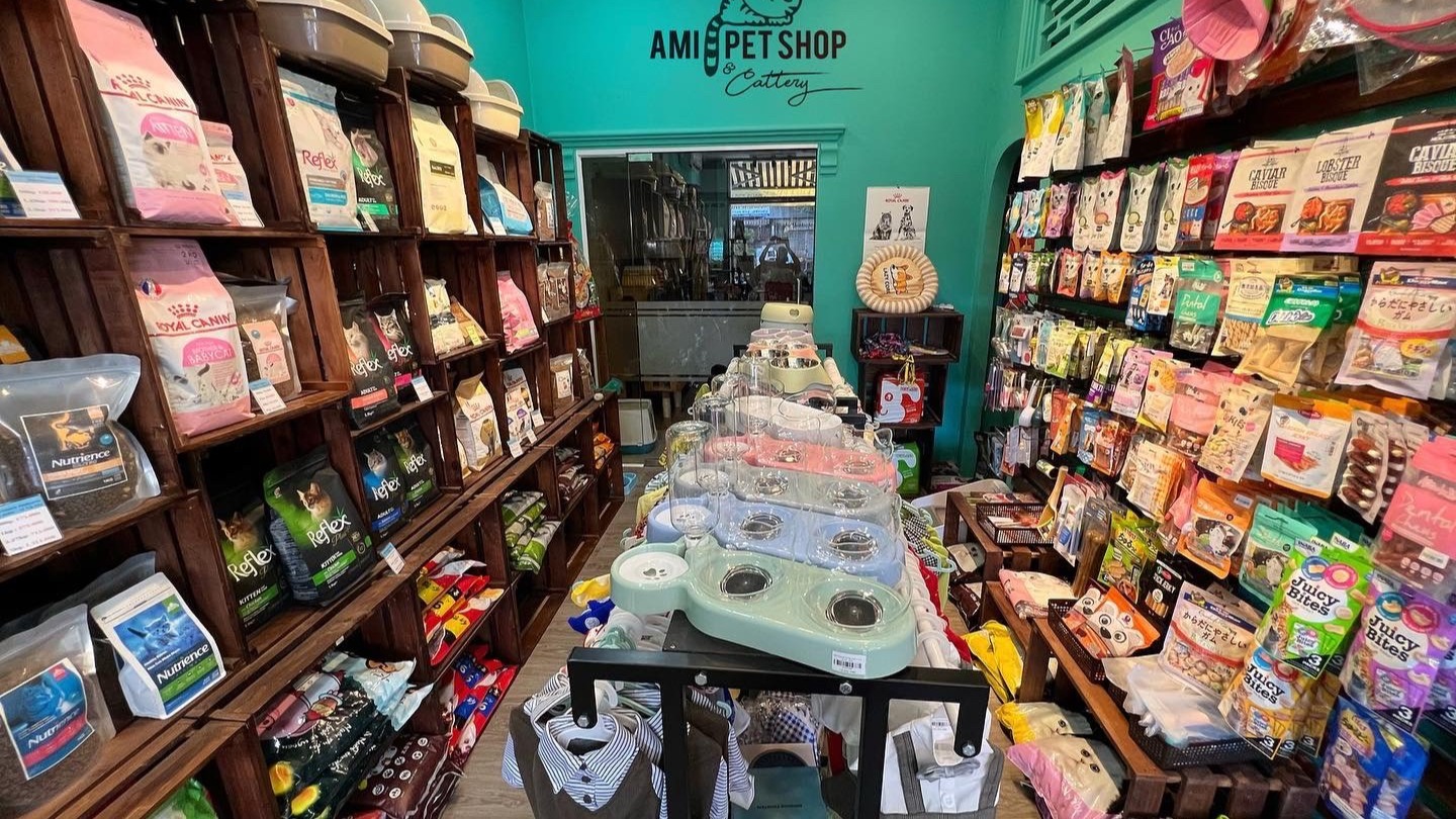 Ami Pet Shop & Cattery, Cửa hàng trực tuyến | Shopee Việt Nam