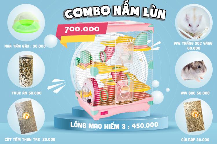 Hamster kingdom store