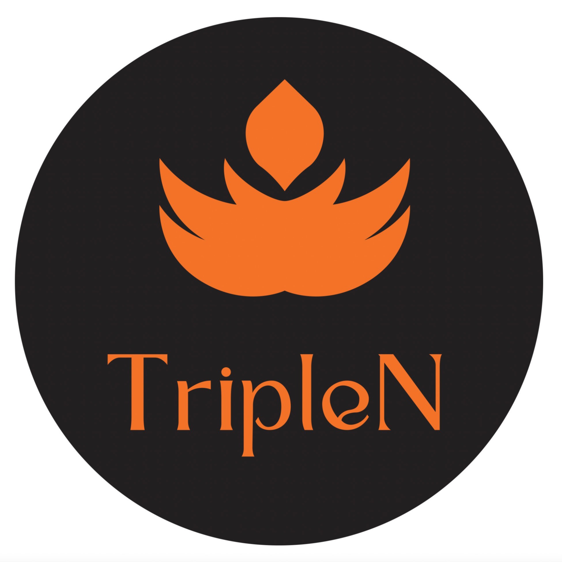 Áo Polo Nam TripleN, Cửa hàng trực tuyến | Shopee Việt Nam