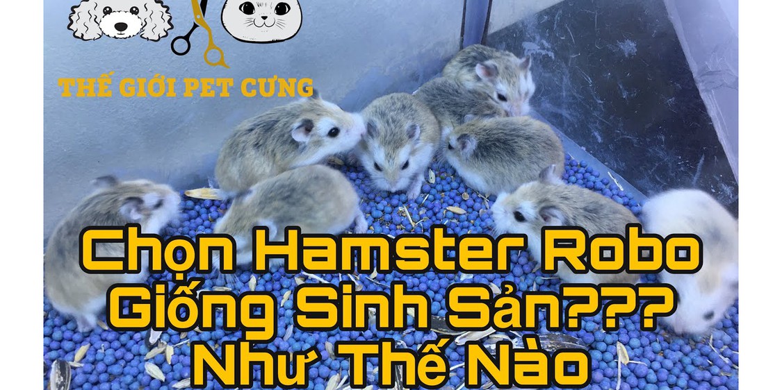 Thế Giới Pet Cưng, Cửa hàng trực tuyến | Shopee Việt Nam