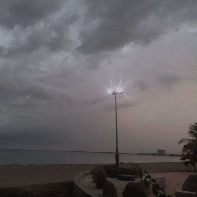 Lâm Phạm, Cửa hàng trực tuyến Shopee Việt Nam