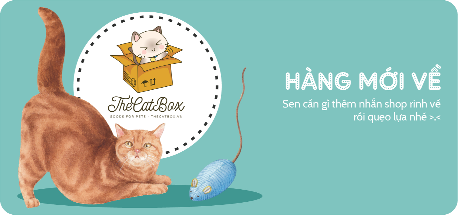 The Cat Box, Cửa hàng trực tuyến Shopee Việt Nam