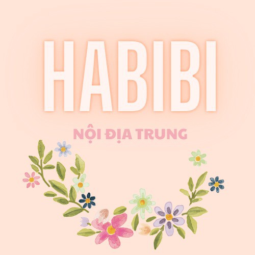 Habibi shop, Cửa hàng trực tuyến Shopee Việt Nam