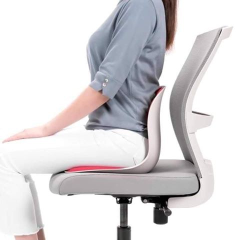 Ghế Làm Việc Chống Gù, Giảm Đau Lưng Curble Wider Ablue- Hàn Quốc | Shopee  Việt Nam