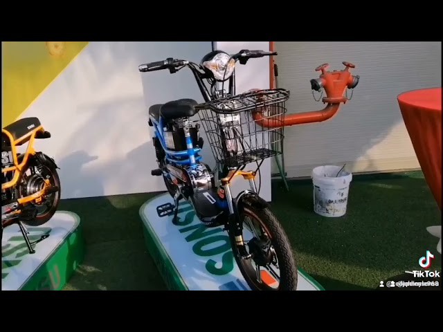 Xe Đạp Điện Sonsu, Cửa hàng trực tuyến | Shopee Việt Nam
