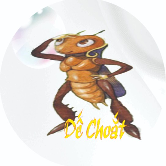 PK.DeChoat, Cửa hàng trực tuyến | Shopee Việt Nam