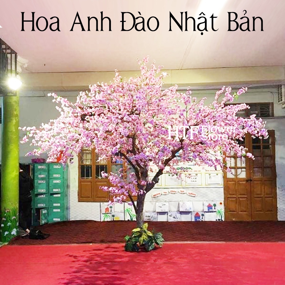 Cành Hoa Anh Đào Nhật Bản, Hoa Giả Làm Cây, Trang Trí Nhà, Studio | Shopee  Việt Nam