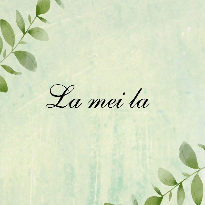Lameila.vn, Cửa hàng trực tuyến | Shopee Việt Nam