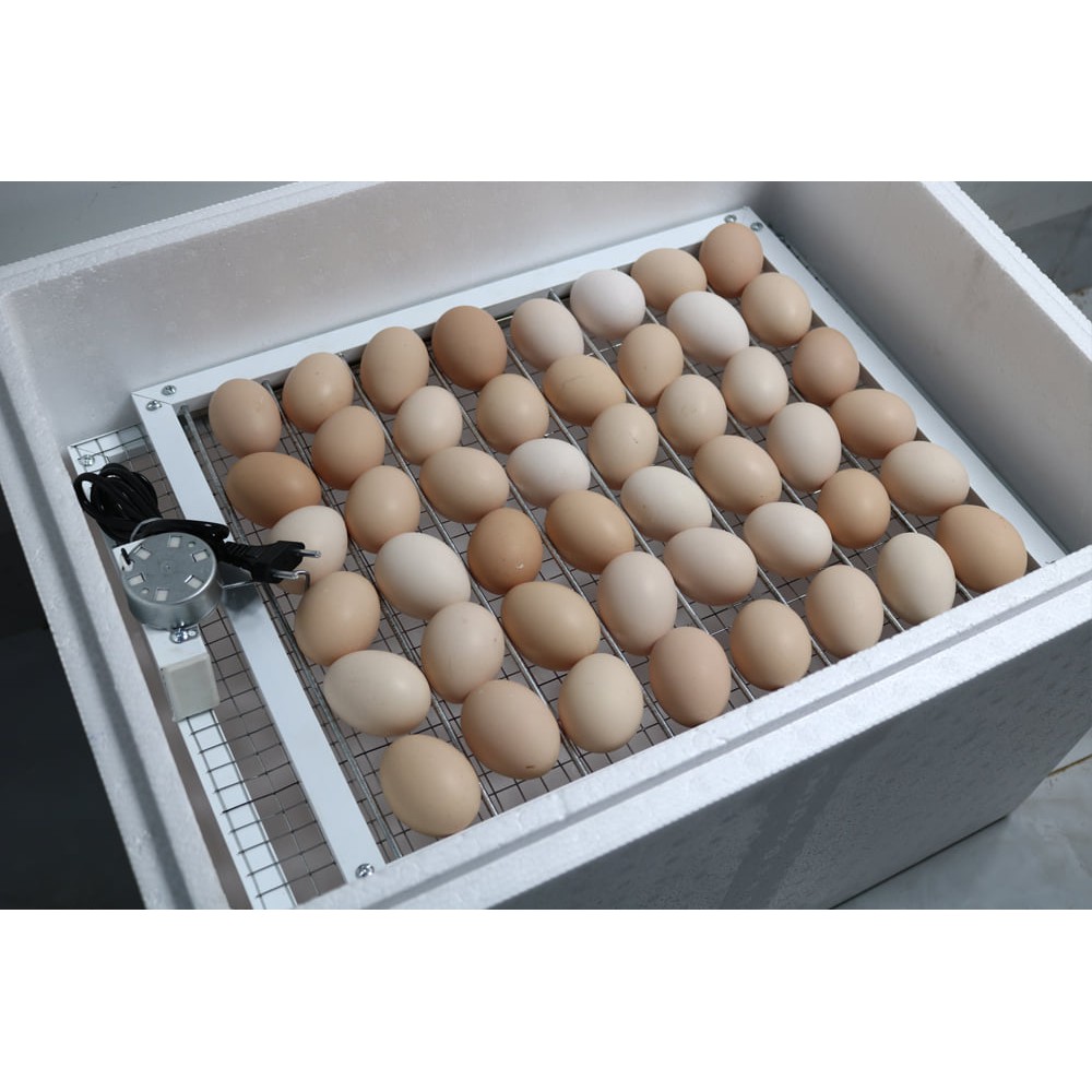 Máy Ấp Trứng Kênh Chim Cảnh 2023 - Bao Nở - Bảo Hành 2 Năm - MixASale