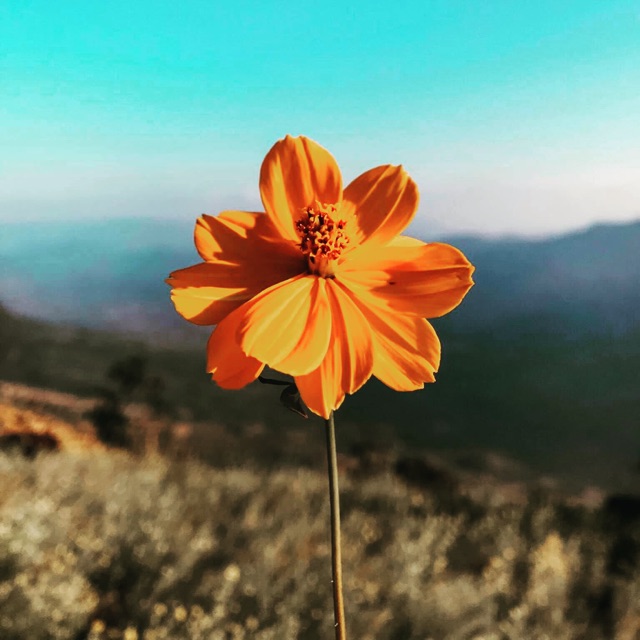 D.Y.N_store, Cửa hàng trực tuyến Shopee Việt Nam