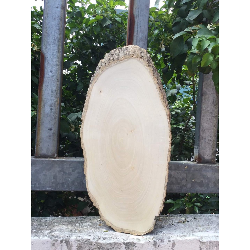 LÁT GỖ Decor trang trí 16cm - 30 cm GIÁ TỪ 18k | Shopee Việt Nam