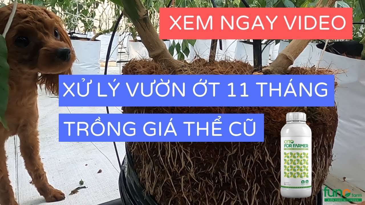 FUNO_Vietnam Store, Cửa hàng trực tuyến | Shopee Việt Nam