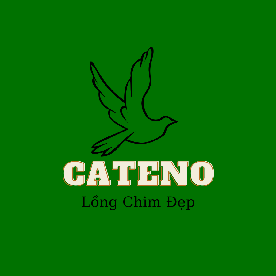 cateno, Cửa hàng trực tuyến | Shopee Việt Nam