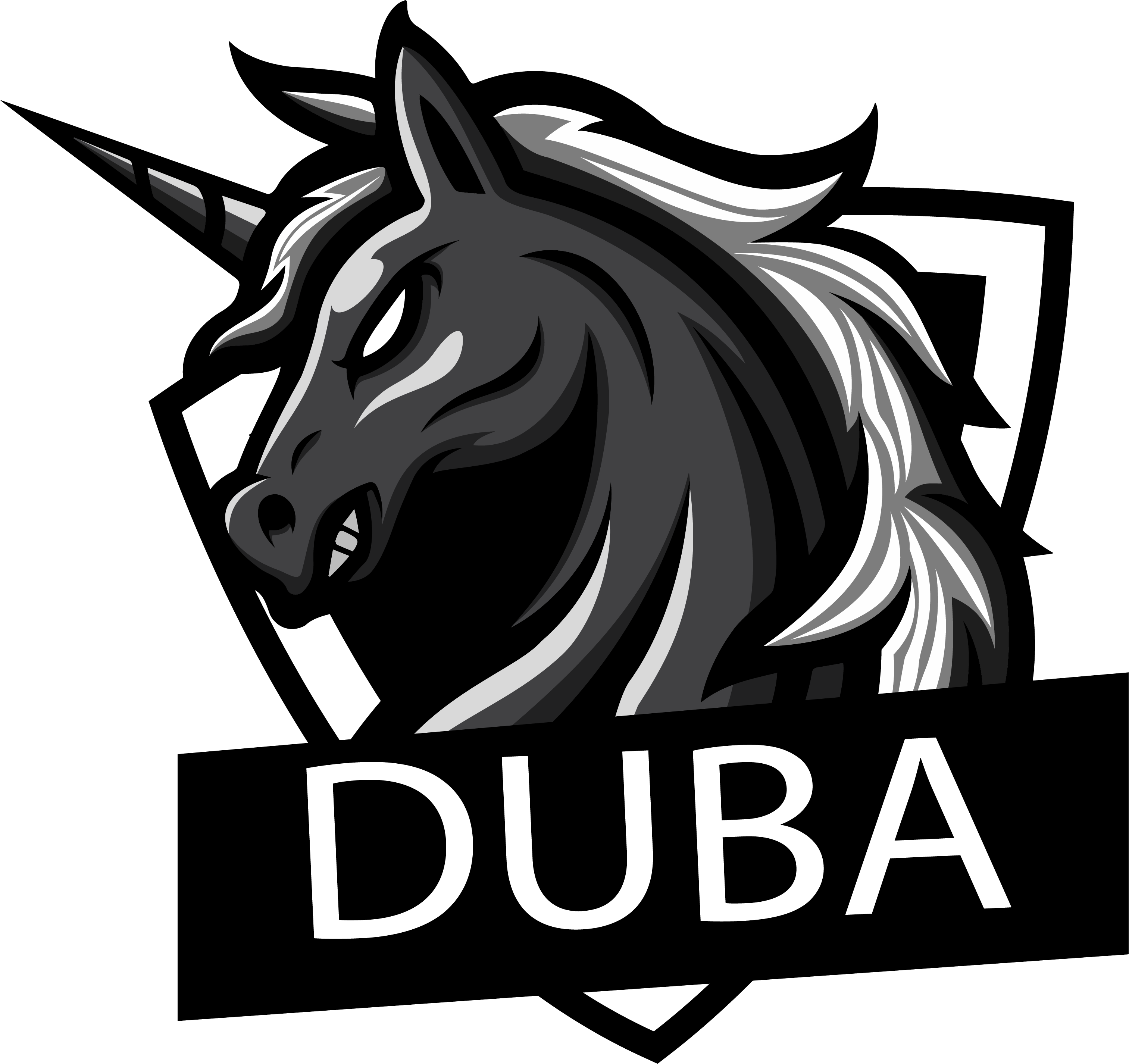 Duba Store, Cửa hàng trực tuyến Shopee Việt Nam