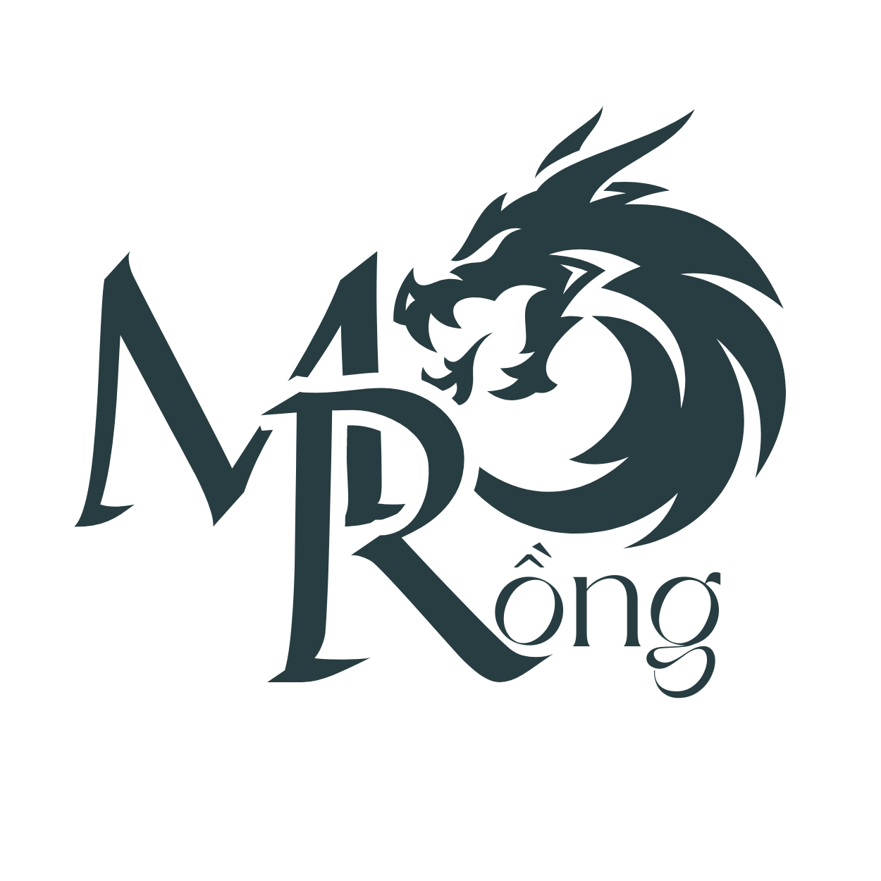 Mr. Rồng - Chuyên decor, Cửa hàng trực tuyến | Shopee Việt Nam