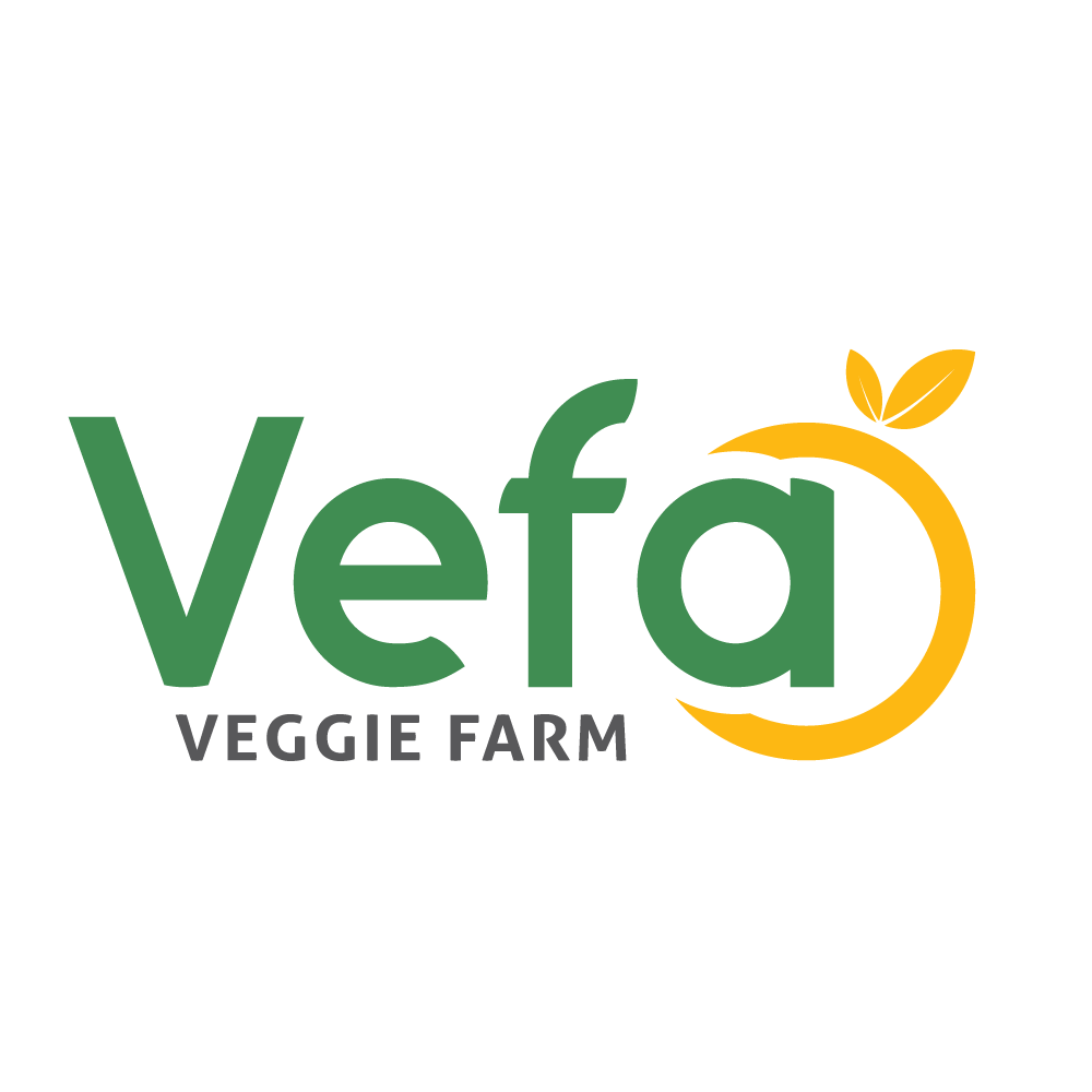 Vefa.vn, Cửa hàng trực tuyến | Shopee Việt Nam