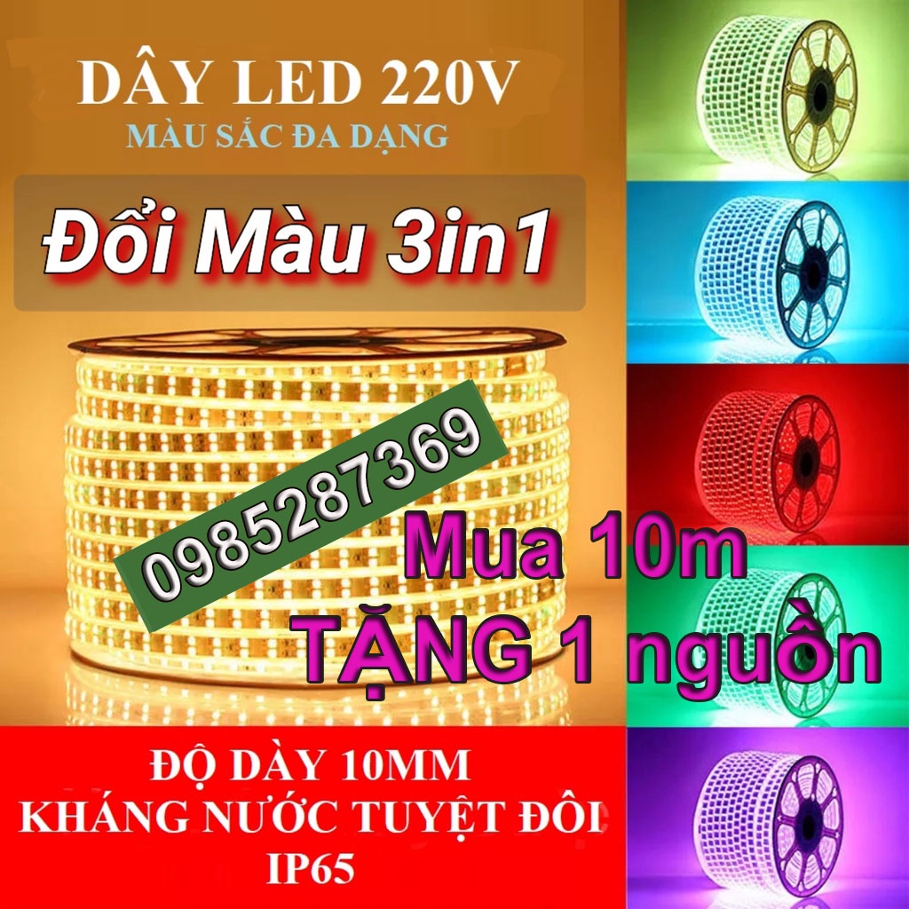 BÁCH HÓA RẠNG ĐÔNG - LIOA, Cửa hàng trực tuyến | Shopee Việt Nam