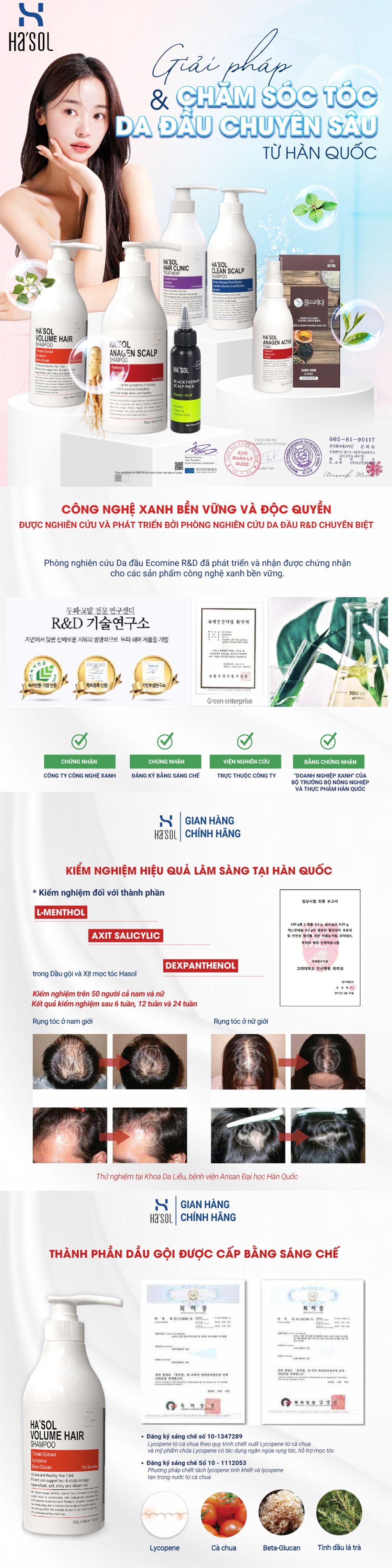 HA'SOL MIỀN BẮC, Cửa hàng trực tuyến | Shopee Việt Nam
