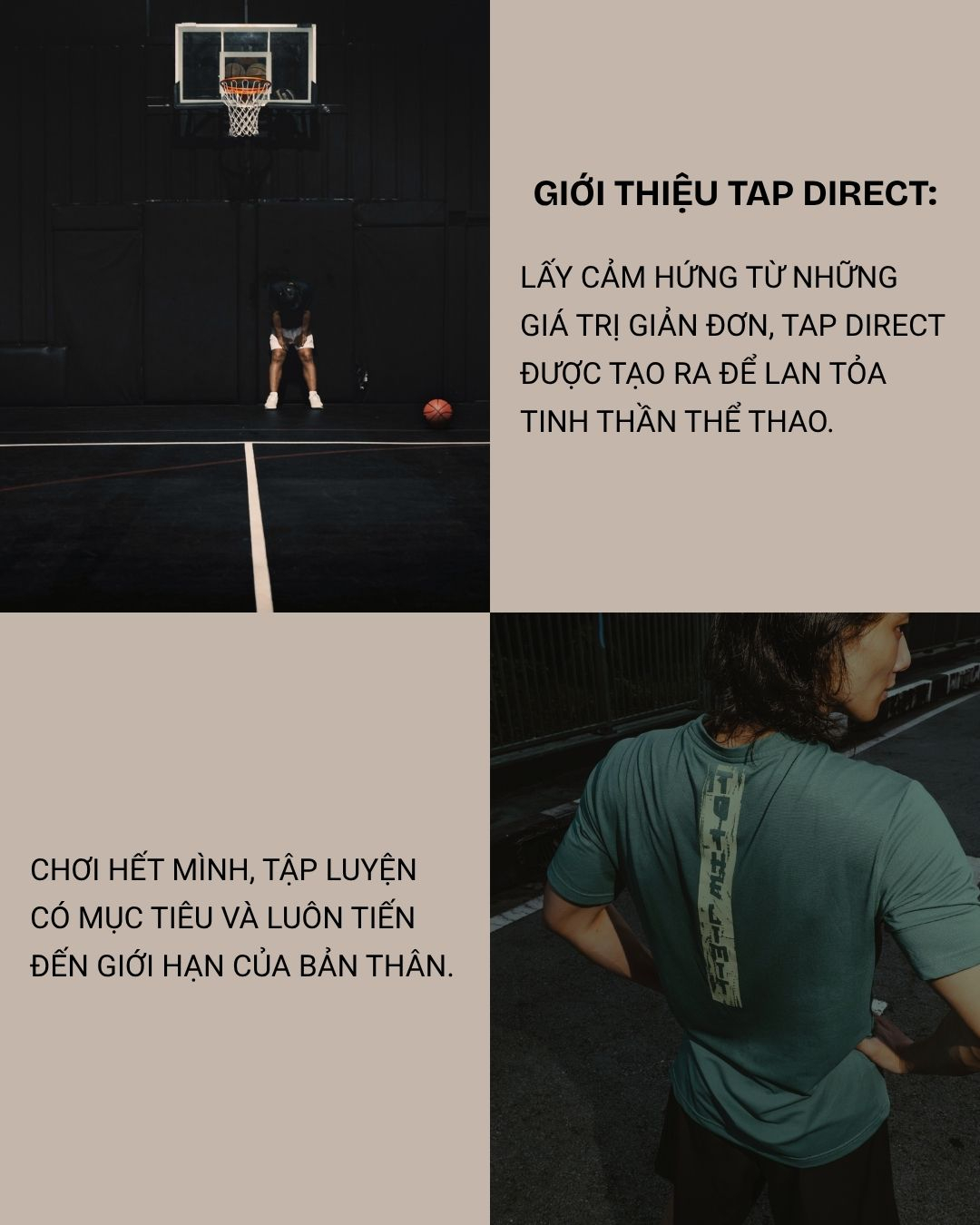 TAP Direct, Cửa hàng trực tuyến | Shopee Việt Nam