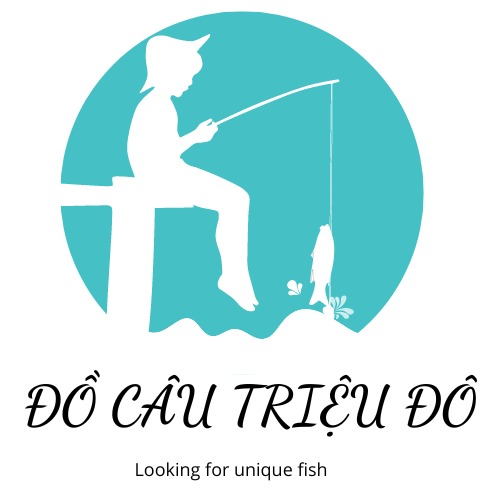 docau.trieudo, Cửa hàng trực tuyến | Shopee Việt Nam
