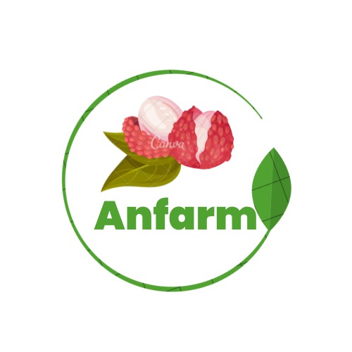 AnFarm.VN, Cửa hàng trực tuyến | Shopee Việt Nam