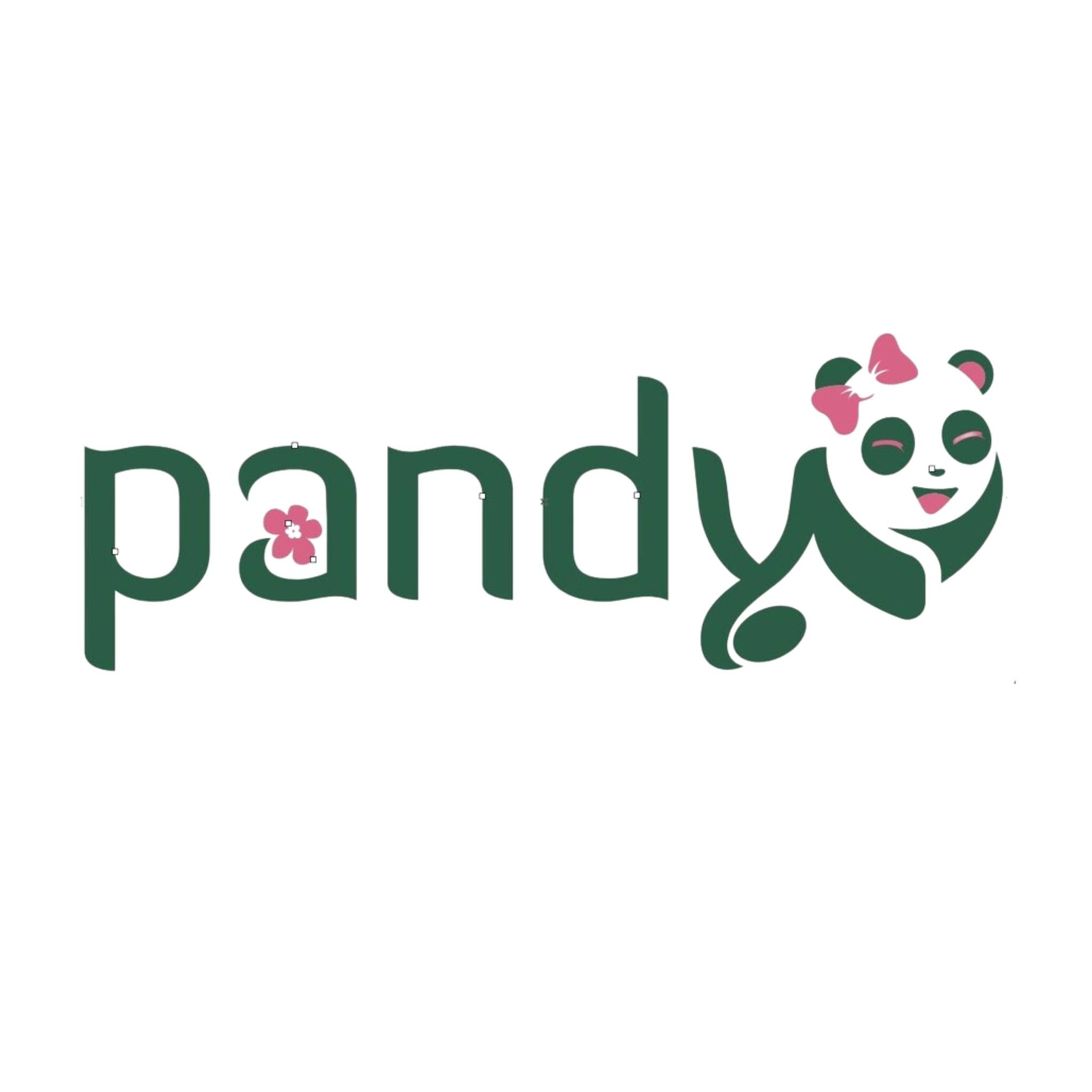 Pandy.Official, Cửa hàng trực tuyến Shopee Việt Nam