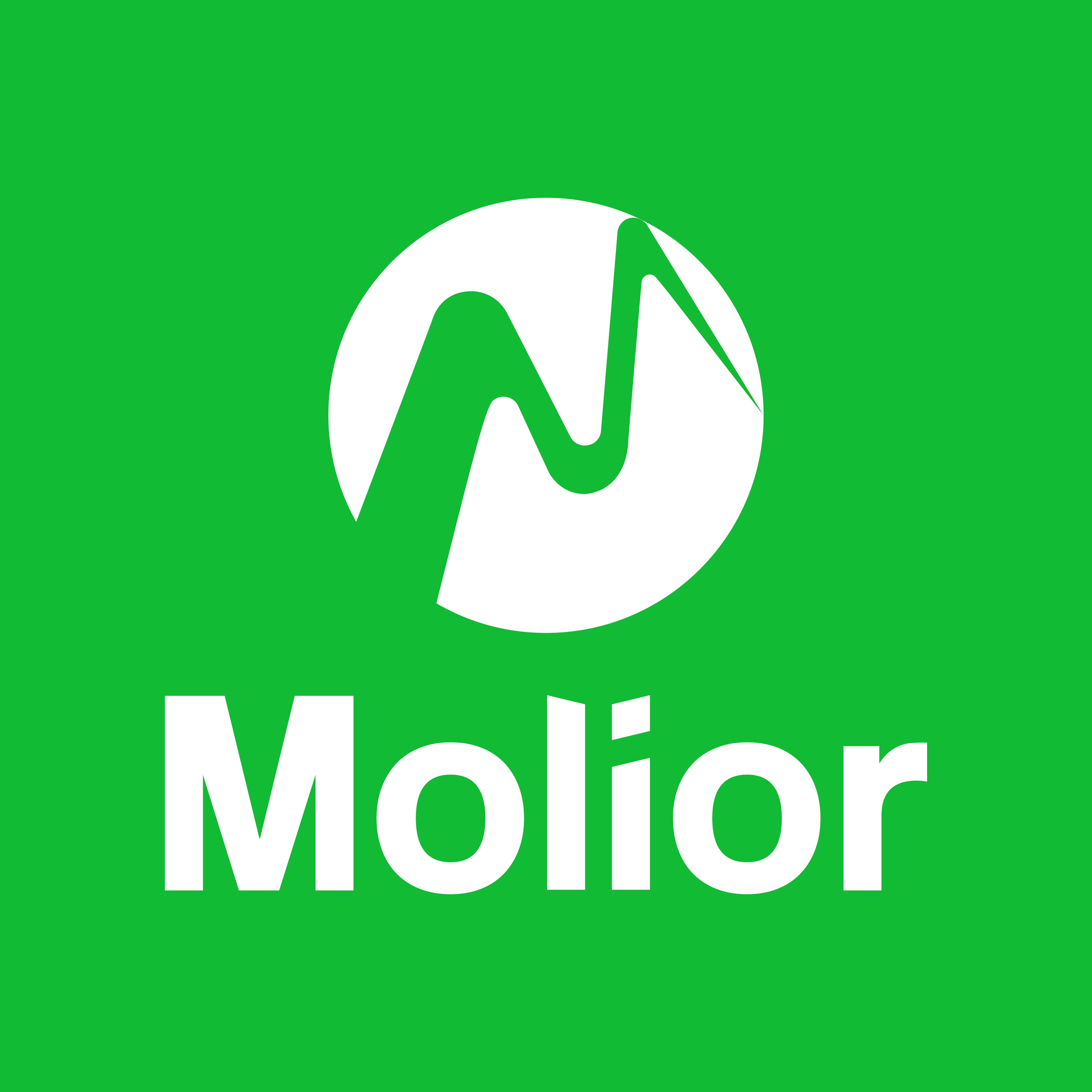 Molior, Cửa hàng trực tuyến | Shopee Việt Nam
