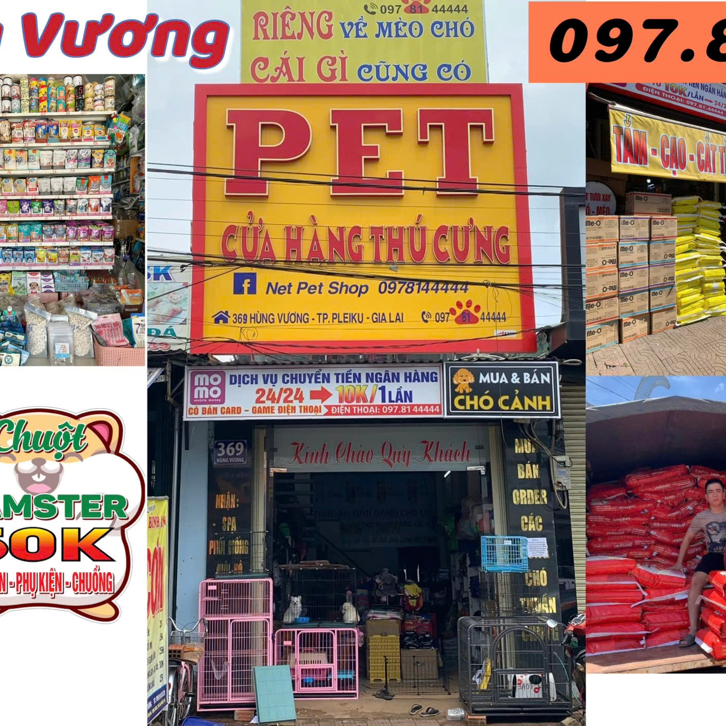 Net Pet Shop, Cửa hàng trực tuyến | Shopee Việt Nam