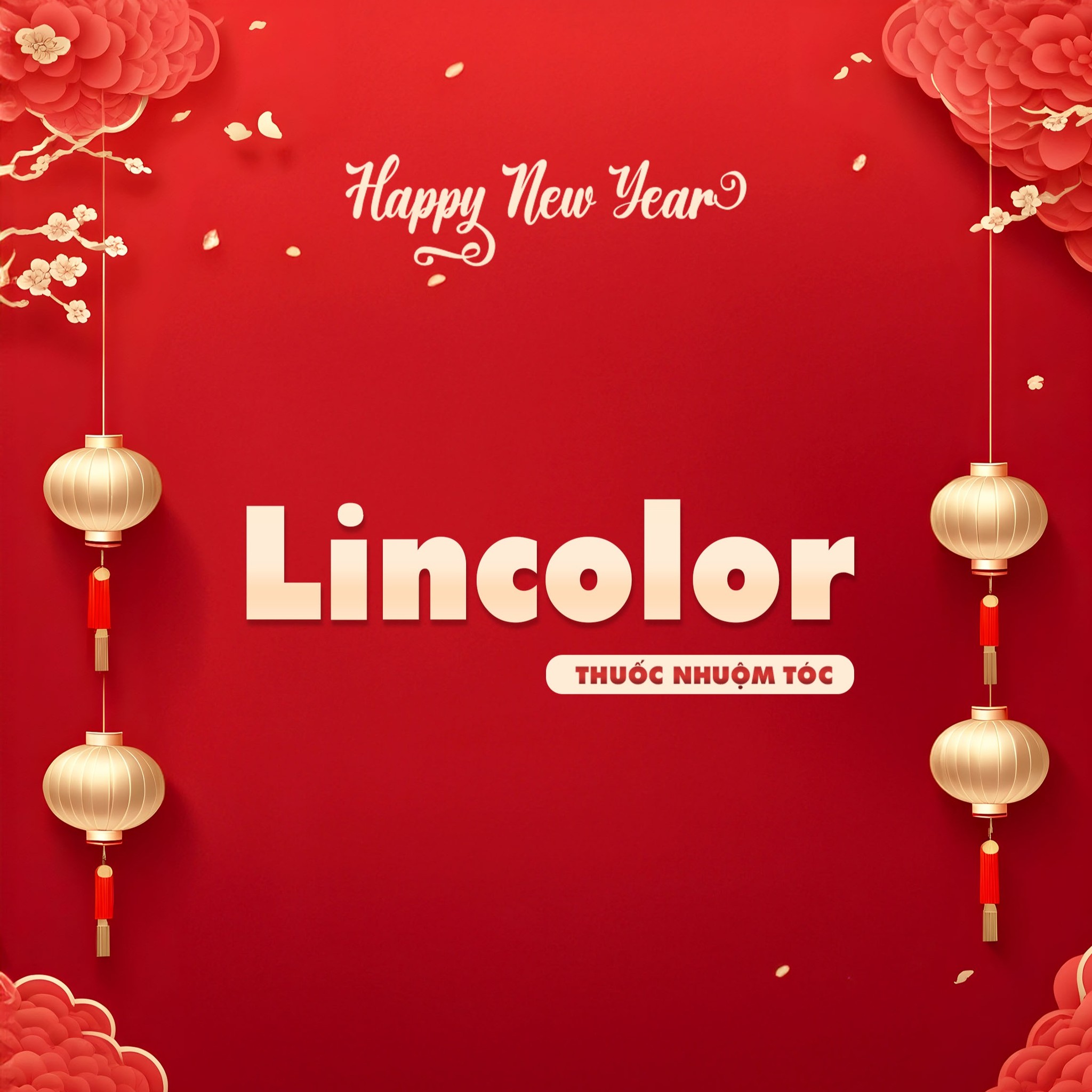 Lincolor, Cửa hàng trực tuyến | Shopee Việt Nam