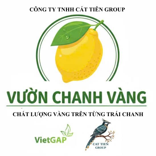 Chanh Vàng Chanh Thơm HÀ NỘI, Cửa hàng trực tuyến | Shopee Việt Nam