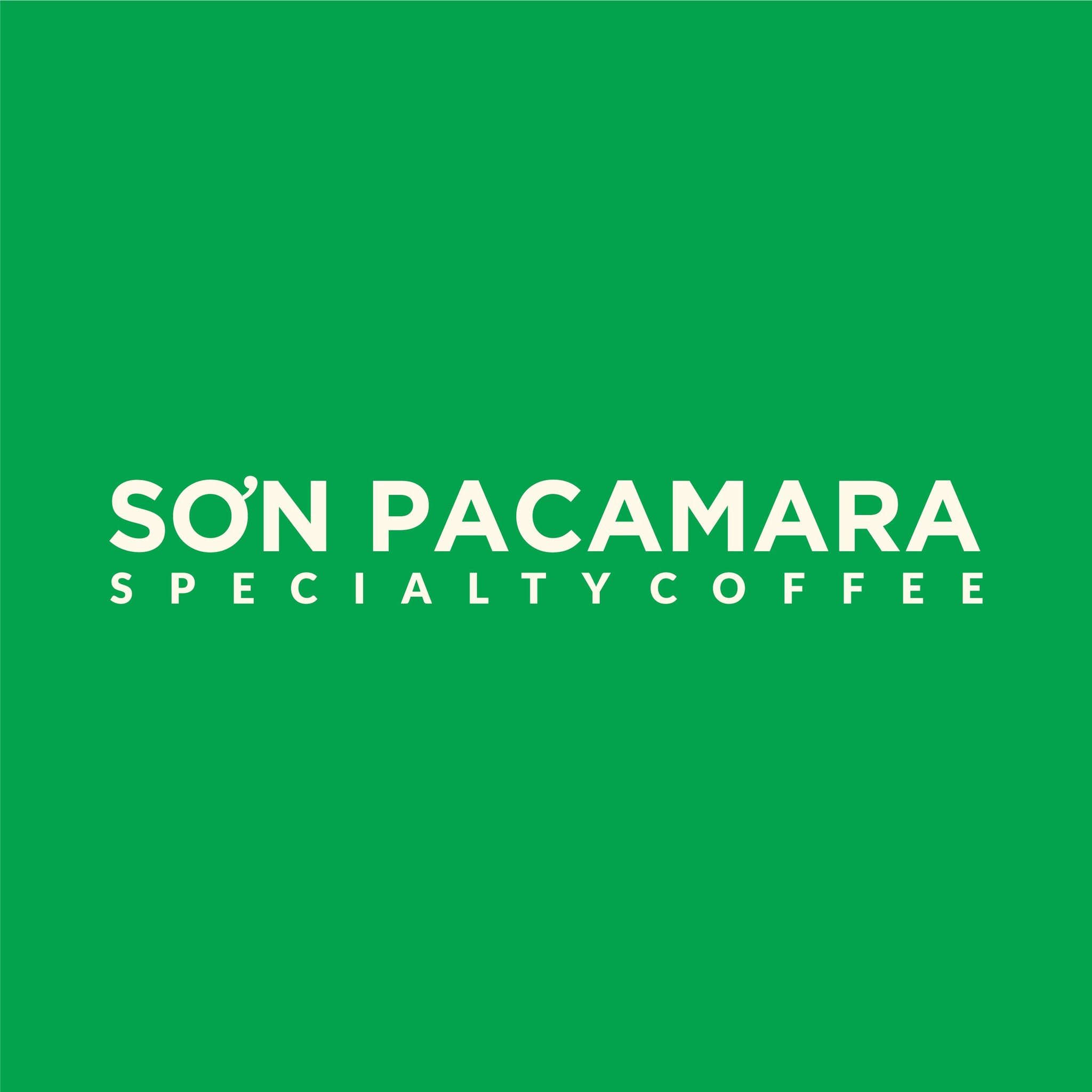 Sơn Pacamara Specialty Coffee , Cửa hàng trực tuyến | Shopee Việt Nam